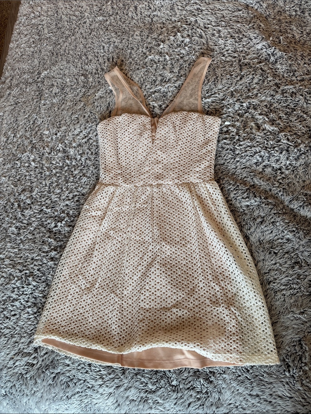 Charlotte Russe Cream Lace Mini Dress